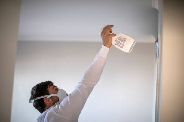 Mold Removal Process in Robins, IA