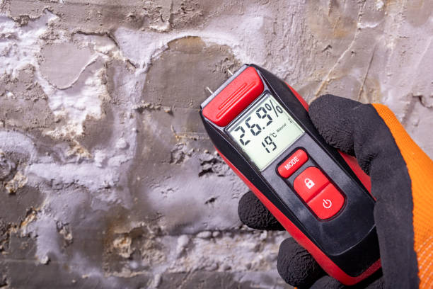 Best Mold Remediation  in Robins, IA