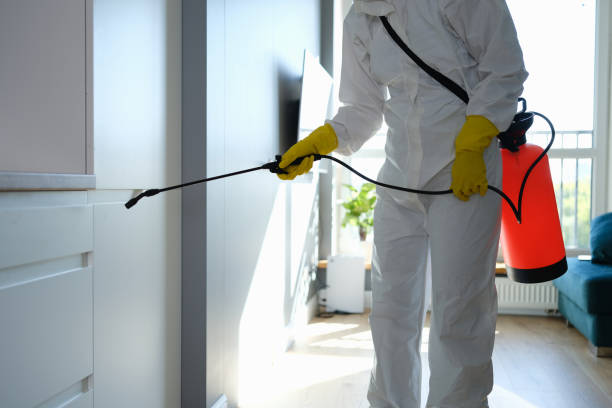 Best Crawl Space Mold Removal  in Robins, IA