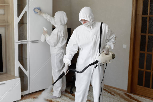 Best Professional Mold Removal  in Robins, IA