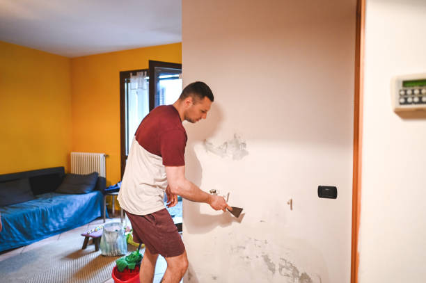 Best Home Mold Removal  in Robins, IA